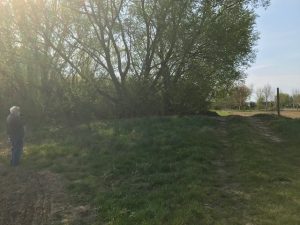 Eladó telek, föld Alsópáhokon